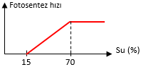 Su Miktarının Fotosentez Hızına Etkisi